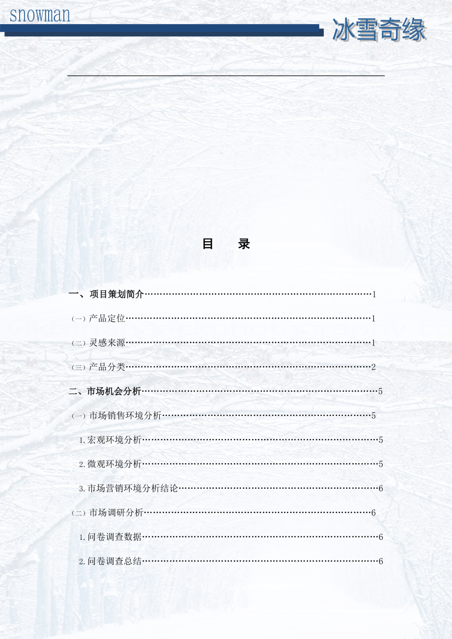 广东金融学院营销策划大赛Snowman组策划书